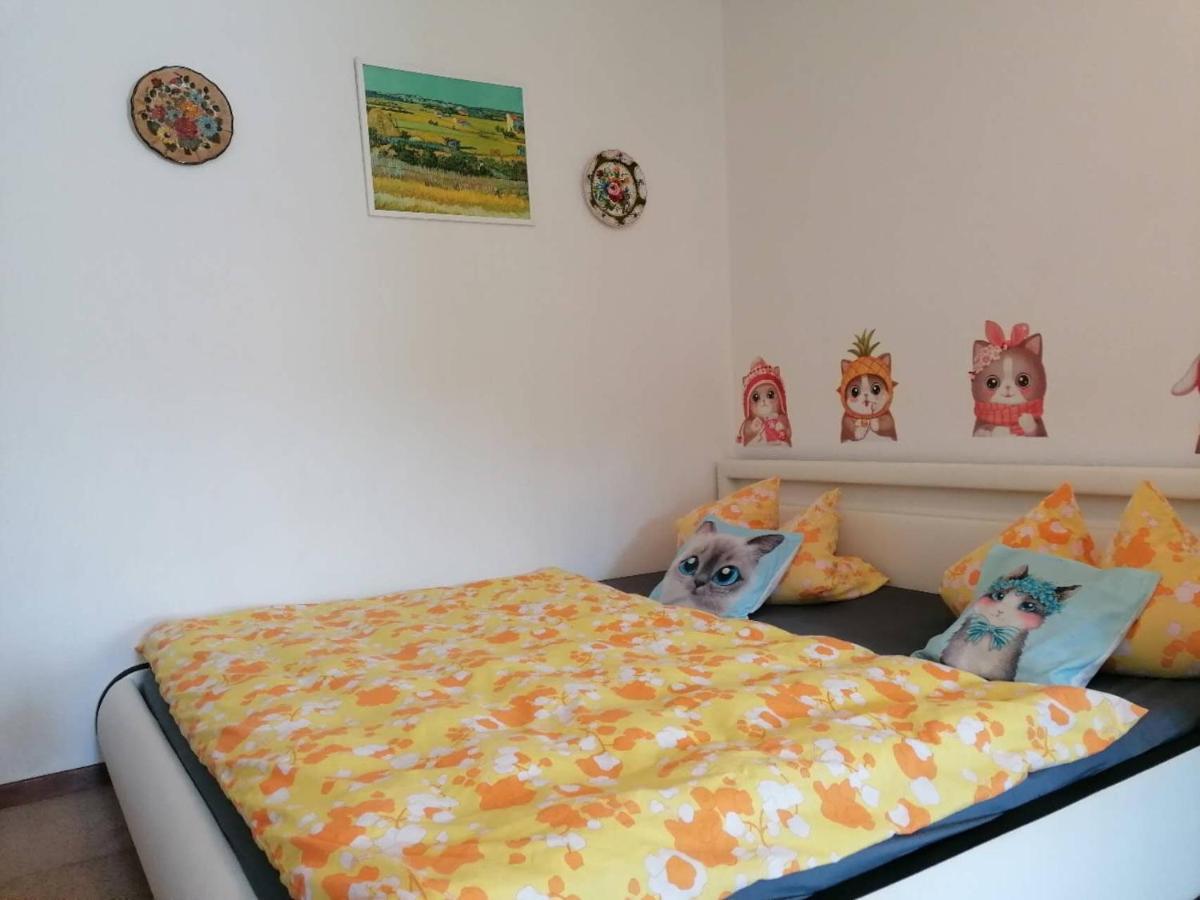 Ferienwohnung Schoene Wohnung 2D-Gebaeude Mit Mini-Garten Schönwalde 外观 照片