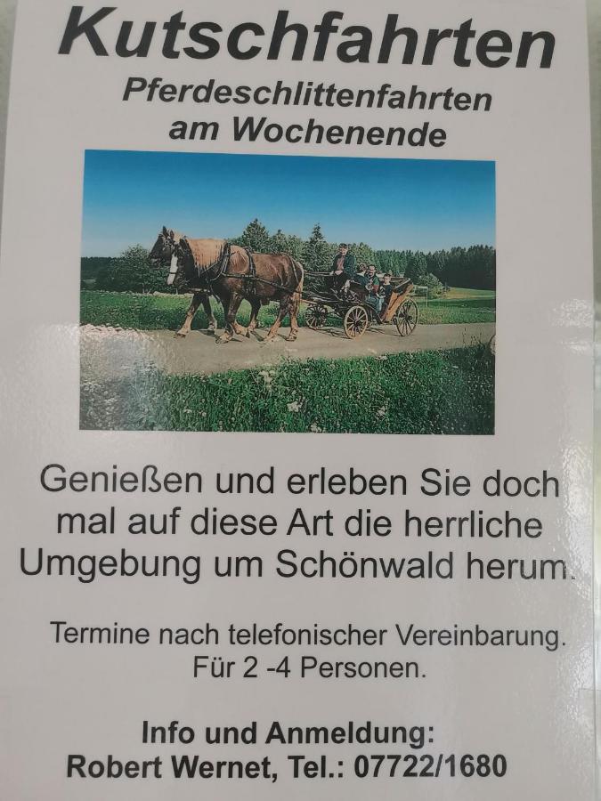 Ferienwohnung Schoene Wohnung 2D-Gebaeude Mit Mini-Garten Schönwalde 外观 照片