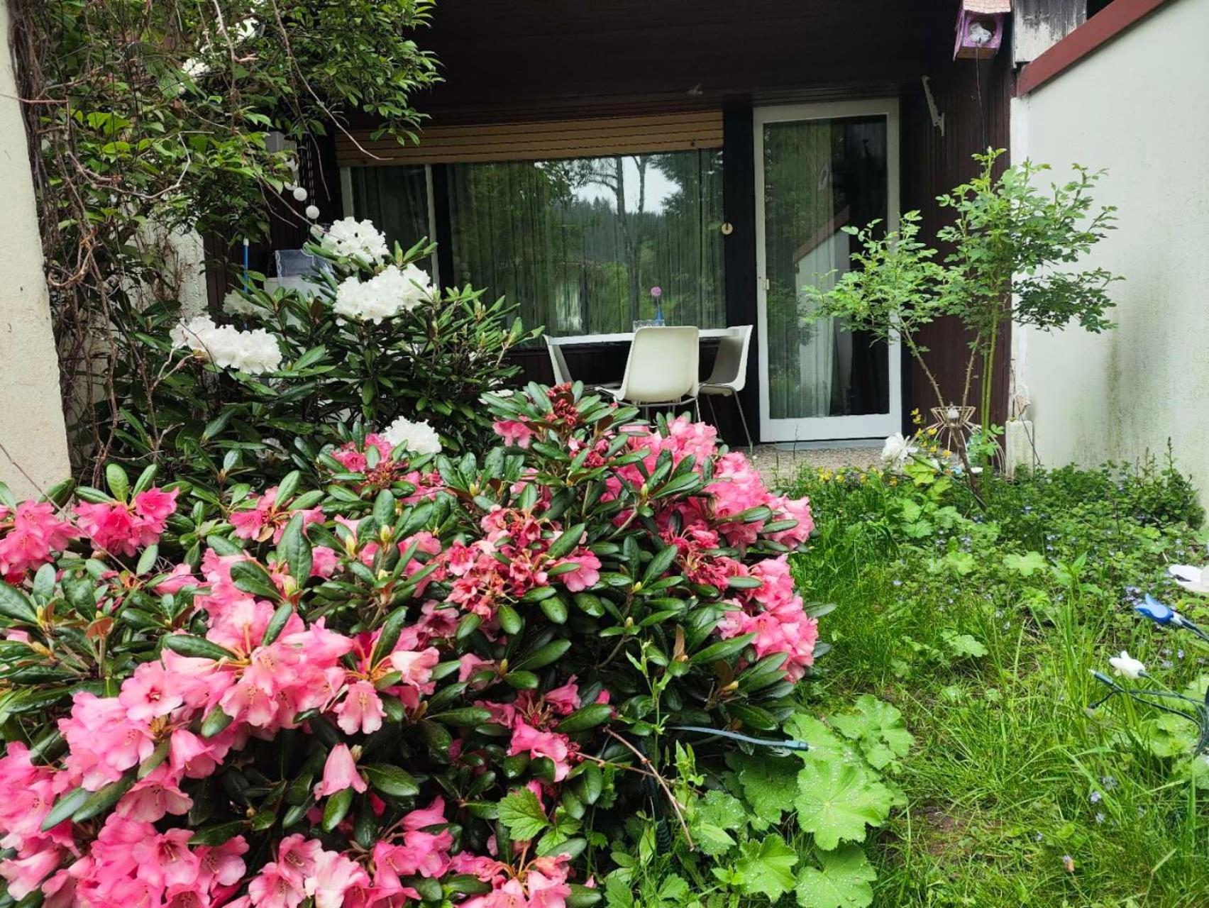 Ferienwohnung Schoene Wohnung 2D-Gebaeude Mit Mini-Garten Schönwalde 外观 照片